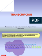 Transcripción (Síntesis de ARN)