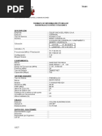 Informe Técnico MTC