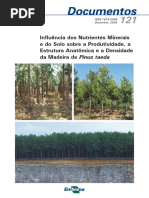 Influência Dos Nutrientes Minerais e Do Solo Sobre A Produtividade, A Estrutura Anatômica e A Densidade Da Madeira de Pinus Taeda