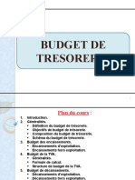 Budget de Trésorerie