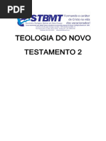 Teologia Do Novo Testamento 2 Nova