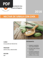 Grupo 1 Nectar de Sabila Con Chia Informe Final 1