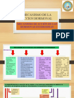 MECANISMO DE LA ACCION HORMONAL-final