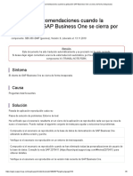 Recomendaciones Cuando La Aplicación SAP Business One Se Cierra de Forma Inesperada