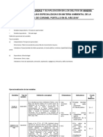 Ejemplo de Operacionalizacion de Las Variables