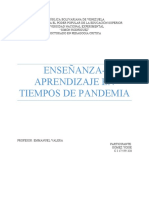 Seminario 2 Enseñanza-Aprendizaje en Tiempos de Pandemia