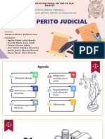 Grupo #1 - Doctrina Del Perito Judicial - Aula 410