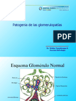 Glomerulos 2