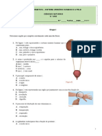 Ficha Formativa - Sistema Urinário e A Pele