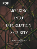 Breaking Into Information Security