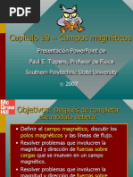 7 Campos Magnéticos