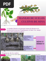 Manejo de Suelos Soya