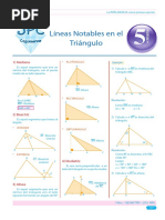 Guía 5-Lineas Notables Triangulo