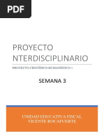 Proyecto Interdisciplinario Tercer Año S3