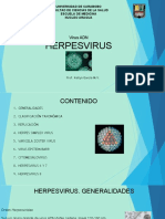 HERPESVIRUS Parte 1