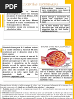 Glomerulopatías Secundarias