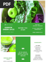 Gerson Green Juice