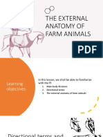 The External Anatomy of Farm Animals