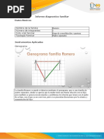 Anexo 4 - Formato Informe Diagnostico-Familia Romero