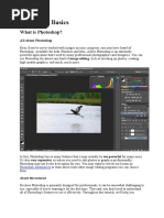 Photoshop Basics