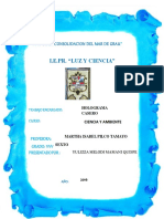 PDF Documento