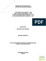 Informe Pruebas Catalasa e Identificacion de Bacterias