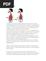 Definición de Respiración