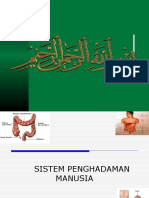 Sistem Penghadaman