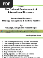 CH 05 The Cultural Environment