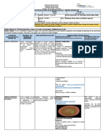 SEMANA 11 Planificación Proyecto Científico 