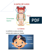 1.1. Las Partes Del Cuerpo Grado Primero