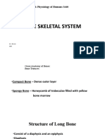 Chapter 5 Student Version The Skeletal System 2020 (1139)