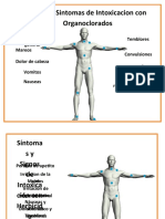 Signos y Sintomas de Intoxicacion - Almacen