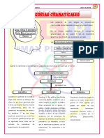 Categorias Gramaticales