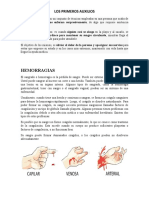 Los Primeros Auxilios