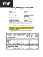 TAREA TUBEROSAS Costos