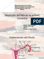 Desarrollo Del Feto en Su Primer