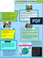 Infografia Problemas Escasez de Los Recursos Naturales