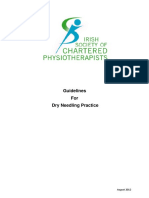 Guidelines For Dry Needling Practice ISCP Irlanda