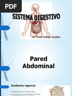 Pared Abdominal y Tubo Digestivo