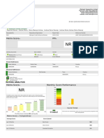 Metro-Score PPI: Customer Credit Report