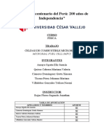 Celdas Microbianas Informe Final