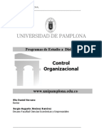 Electiva Profesional Ii - Control Organizacional