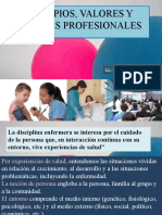 Valores y Virtudes Profesionales