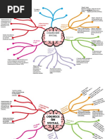 Cognición Social