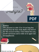 Pharynx