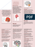 Toaz - Info Actividad 5 Que Tengo Dentro de Mi Cabezado