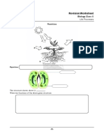 Bio 10th - Life Processes - Revision Worksheet