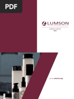 Lumson Company Profile