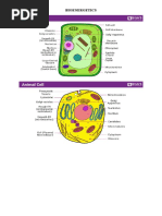 BIOENERGETICS